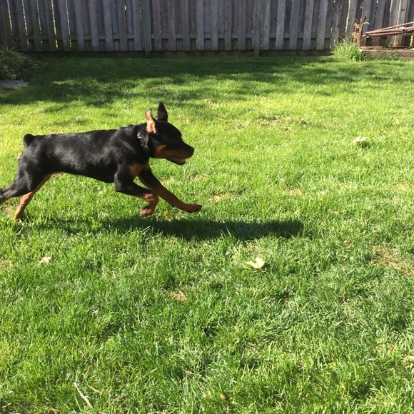 Meet your Posher, Katelynn - Picture 1 of 1